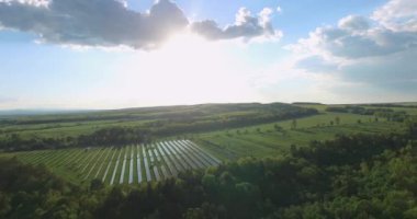 forest yakınındaki güneş panelleri