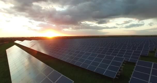 Paneles solares en un campo al atardecer, primer plano, antena — Vídeo de stock