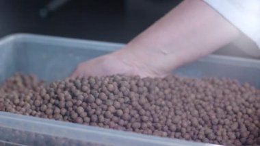 biber elinden dökülür