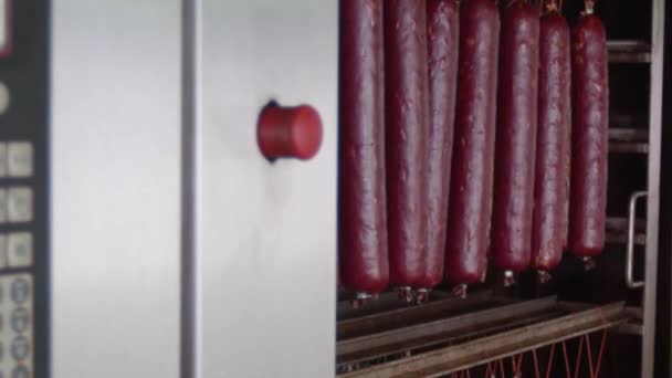 Производство колбас, хот-догов — стоковое видео