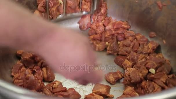 A produção de salsichas, misturador, close-up — Vídeo de Stock