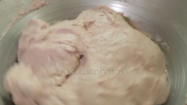 L'imbottitura per la salsiccia nel mixer — Video Stock