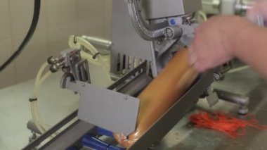 makine sosis fabrikası, portre