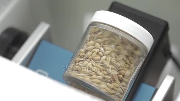 Tests de laboratoire le blé, plan intermédiaire — Video