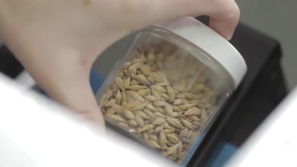 Un appareil de laboratoire pour la vérification du blé — Video