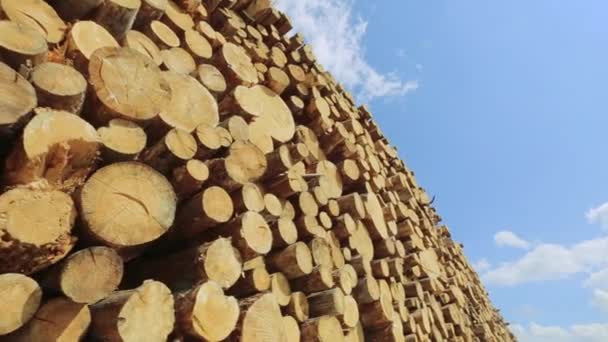 Troncos de madera en el cielo azul — Vídeo de stock