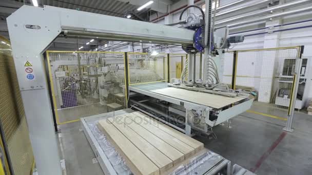 Automatic line for wood flooring — Stock Video