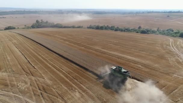 Vista aérea de la cosechadora en el campo, vista desde arriba — Vídeos de Stock