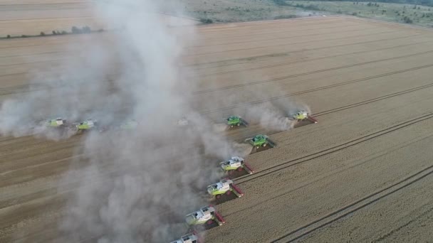 Двенадцать комбайнов собирают урожай в поле — стоковое видео