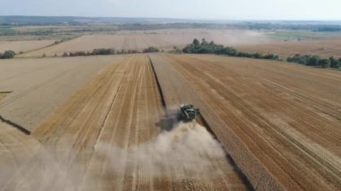 Birleştirmek güneşli bir günde alanında çalışır.