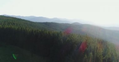 dağlarda orman dairesel bir Panoraması