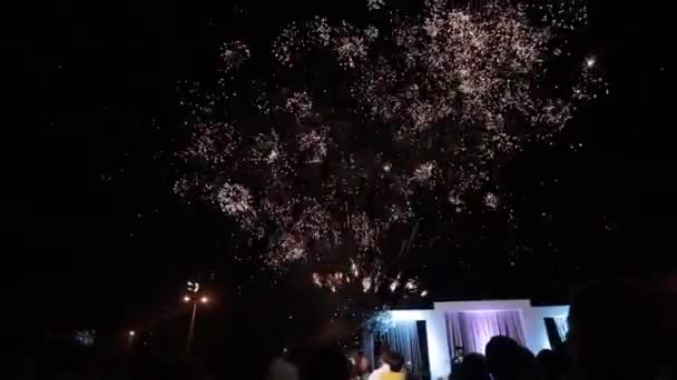 Orang-orang di latar belakang kembang api indah — Stok Video