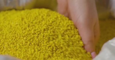 Ellerinde plastik topaklar, fabrika için plastik boncuklar, yakın çekim.