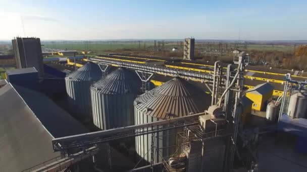 Gran granja de cerdos industriales, vista superior, 4k — Vídeos de Stock