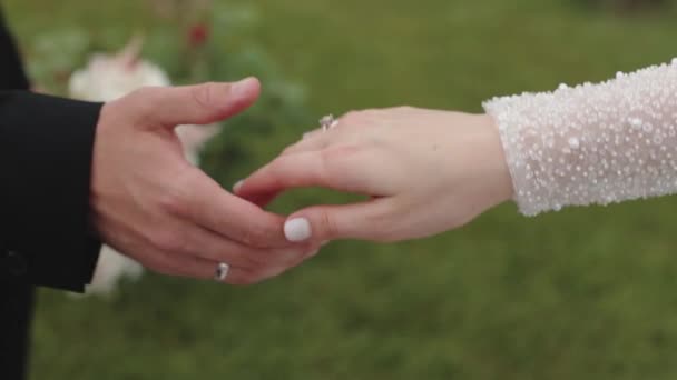 Noivo mantém noivas mão, close-up, 2019 — Vídeo de Stock