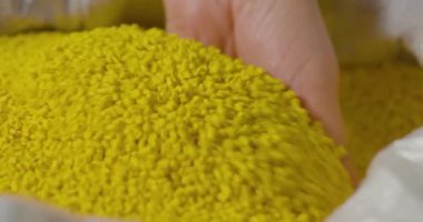 Ellerinde plastik topaklar, fabrika için plastik boncuklar, Yavaş Hareketler