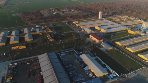 Vista panorámica aérea de una gran granja de cerdos, verano 2019 — Vídeo de stock