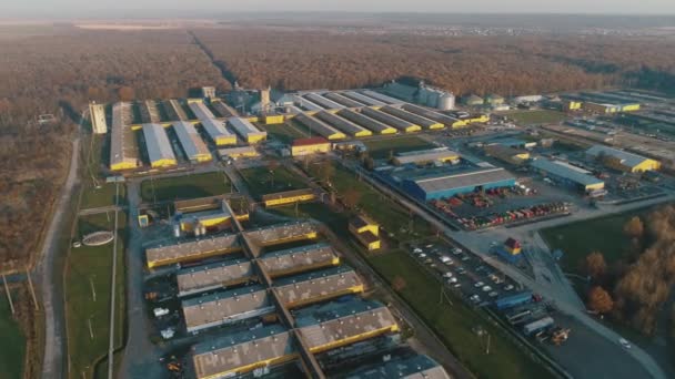 Manhã na grande fazenda de suínos, verão de 2019. panorama — Vídeo de Stock