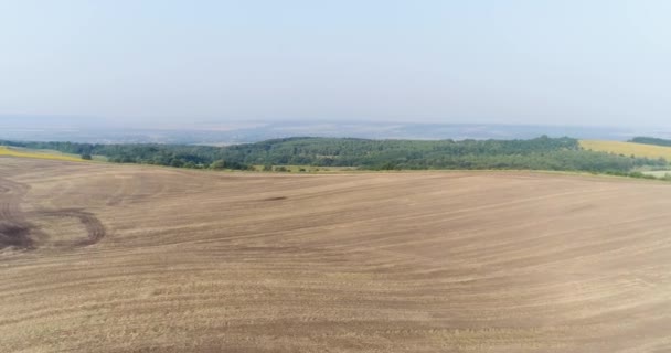 Mañana en la finca, preparado para la siembra de cultivos, panorama circular verano 2019 — Vídeos de Stock