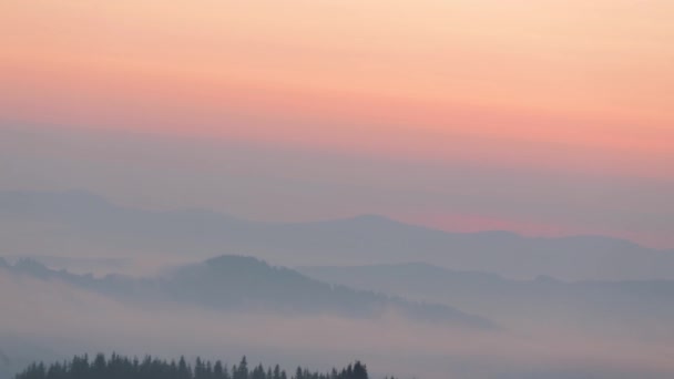 山の美しい風景、山の中で朝。2019年夏 — ストック動画
