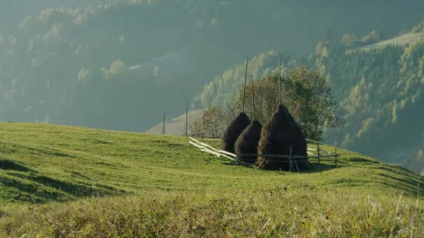 Традиционные стоги сена в горной деревне, стоги сена на травяном поле, 2019 г. — стоковое видео