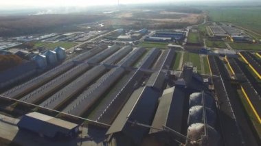 large panorama of pig farm and feed mill