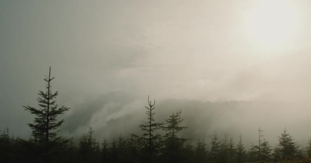 山は雨の後に舞い上がる。蒸気は山の斜面から出てくる。経過時間. — ストック動画