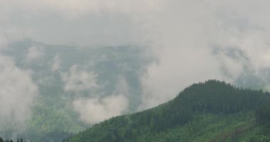Dağların güzel manzarası yağmurdan sonra havalanır. Dağların yamaçlarından buhar çıkıyor. Zaman aşımı. 4k