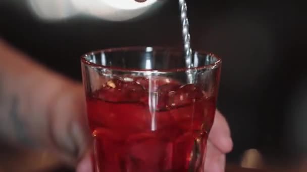 Bartendern förbereder en cocktail på en modern bar. Bartendrarna blandar ingredienserna — Stockvideo