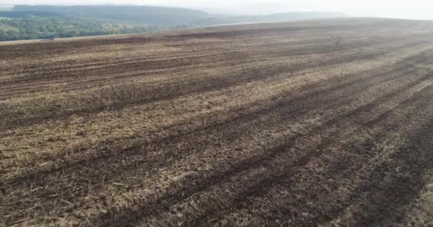 Tracteur fait engrais organique sur le terrain. 4k — Video