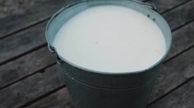 Köyde sağlıklı ve doğal yiyecekler var. Bir kova taze süt.