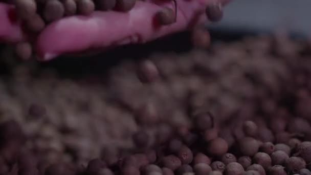 poivre tombant lentement de la paume d'une main de femme, gros plan .