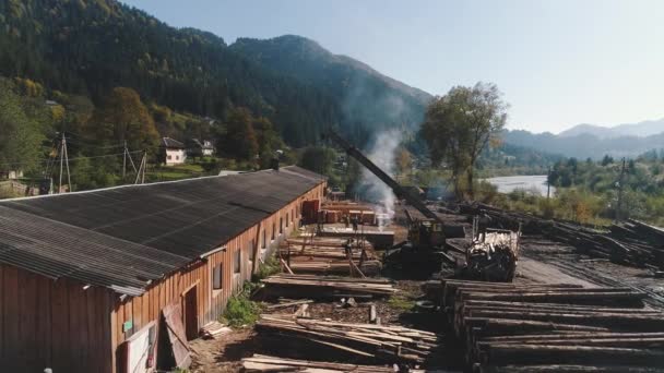 La macchina per la registrazione abbatte gli alberi e mette i tronchi per un ulteriore trasporto alla fabbrica di lavorazione del legno — Video Stock