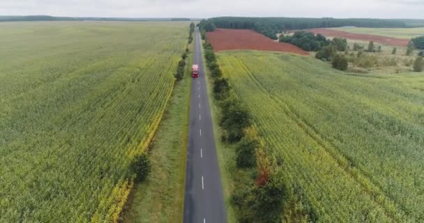 En röd lastbil kör genom mitten av fältet — Stockvideo