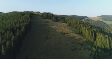 4k havadan görünümü dron görüntüleri: tatil kampı ile yeşil çayır üzerinde uçuş. Orman ve dağ silsilesi içinde geçmiş. Gün batımı yumuşak ışık. Karpat Dağları, Ukrayna, Avrupa. Görkemli doğa manzara.