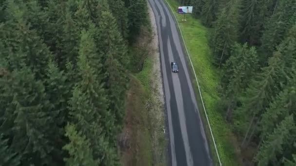 Widok z lotu ptaka nad drogą z samochodem poruszającym się przez pas zielonego lasu.Sosny wzdłuż drogi. Podróżując samochodem po leśnej drodze. PRZEWODNICZĄCY: Przejazd samochodem przez las sosnowy. — Wideo stockowe
