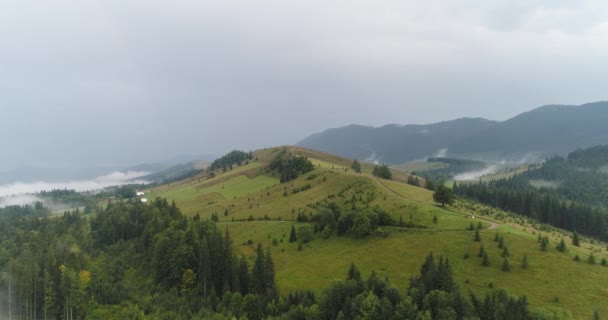 Vuelo sobre la montaña con bosques, campos y río bajo la luz del sol. Montaña de los Cárpatos, Ucrania, Europa. Paisaje majestuoso. Navegación aérea — Vídeo de stock