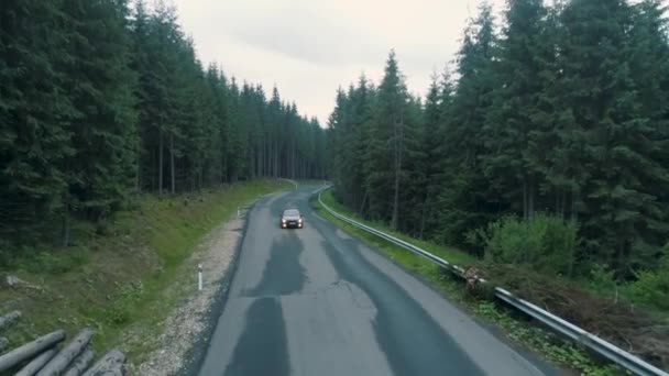 Un coche negro atraviesa un bosque oscuro. — Vídeo de stock