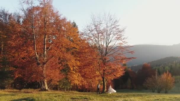 I giovani. La coppia di sposi si trova su un pendio di alta montagna vicino a un bellissimo albero autunnale. Bellissimi sposi. Tramonto d'autunno. Uomo e donna innamorati. Il giorno del matrimonio. Vista aerea . — Video Stock