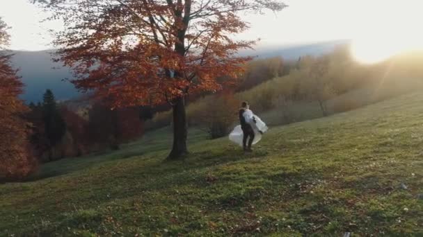 Esküvői pár áll egy magas hegyi lejtőn, közel egy gyönyörű őszi fa. Gyönyörű menyasszony és vőlegény. Őszi naplemente. Szerelmes férfi és nő. Esküvő napja. Légi felvétel. — Stock videók