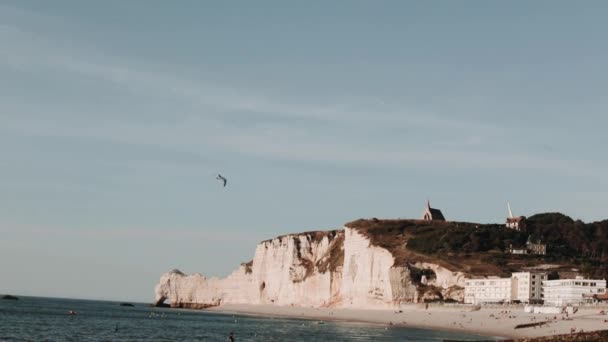 カモメ、エリートの海の海岸を離陸。スローモーション。フランス・ノルマンディー — ストック動画