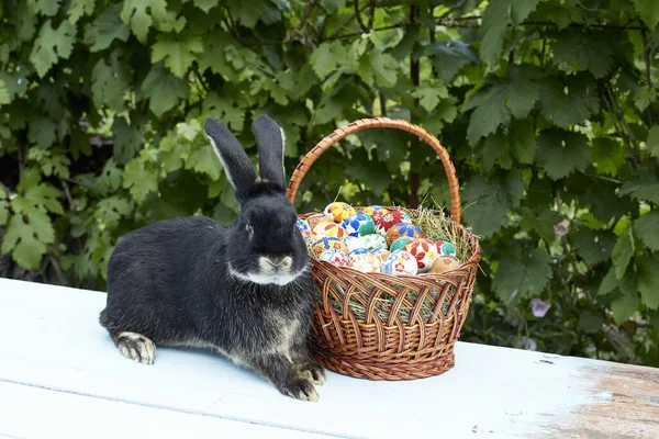 Cute rabbit standing next to the easter basket with painted eggs