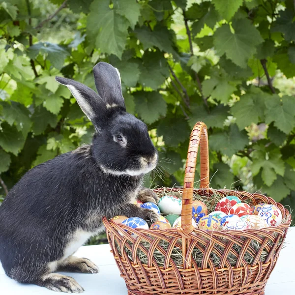 Cute rabbit standing next to the easter basket with painted eggs