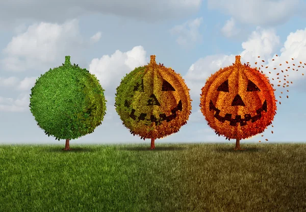 Symbol der Halloween-Saison — Stockfoto