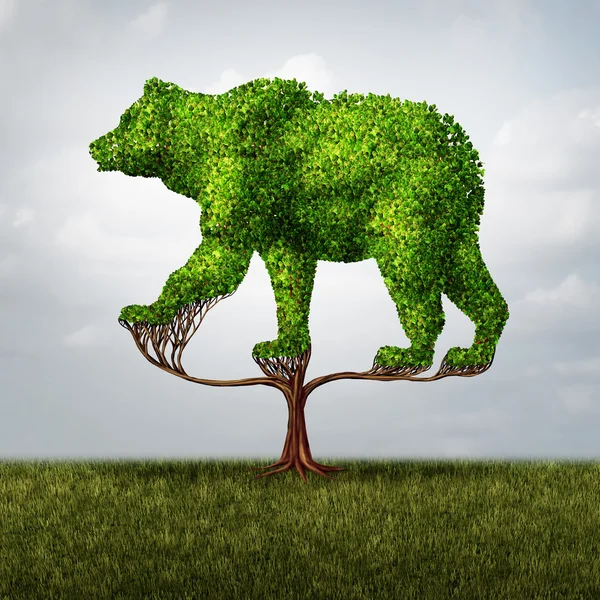 Growing Bear Market — Stock Photo, Image