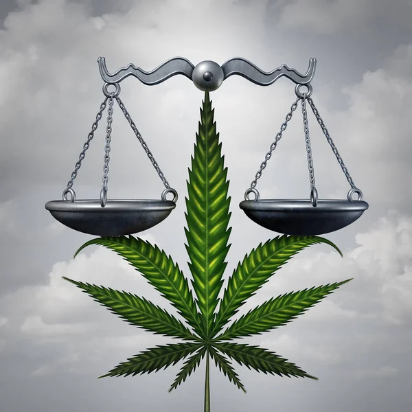 大麻的法律概念 — 图库照片