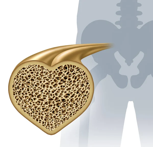 Bone Health Concept — Stock Photo, Image