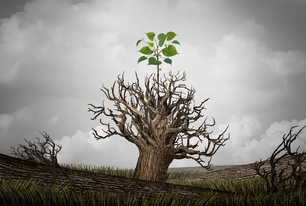 ᐈ New Beginnings Stock Pictures Royalty Free New Beginnings Photos Download On Depositphotos ᐈ New Beginnings Stock Pictures Royalty Free New Beginnings Photos Download On Depositphotos
