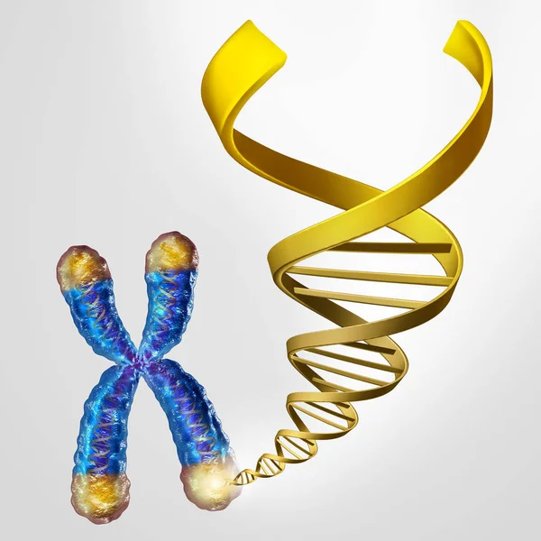 Conceito de DNA de Telômeros — Fotografia de Stock