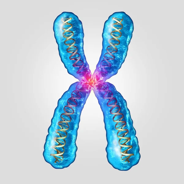 Kromozom genetik Dna — Stok fotoğraf